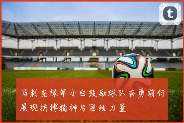 马刺克绿军小白鼓励球队奋勇前行展现拼搏精神与团结力量